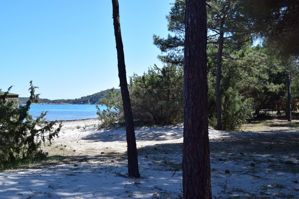 Les Hauts De Pinarello Daire Sainte-Lucie de Porto-Vecchio Dış mekan fotoğraf