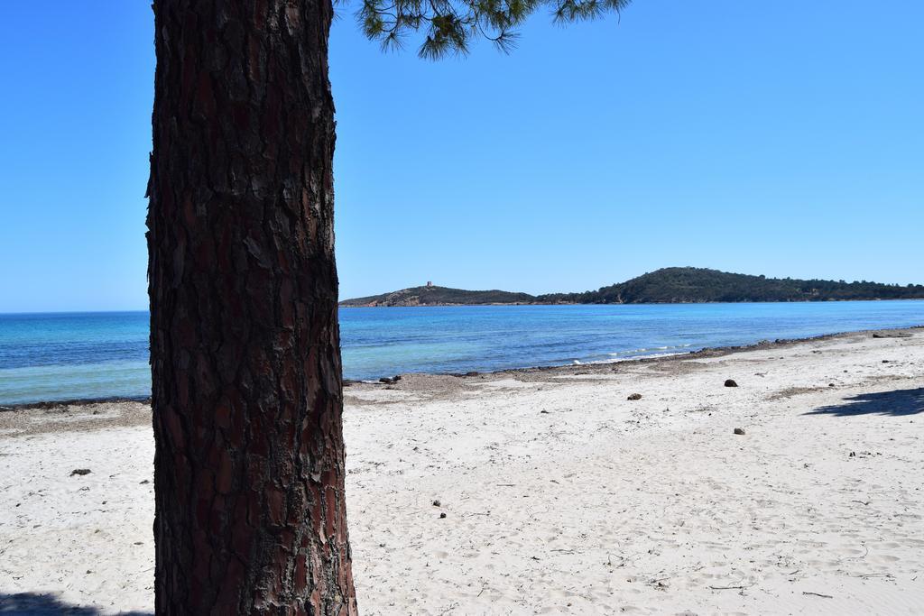 Les Hauts De Pinarello Daire Sainte-Lucie de Porto-Vecchio Dış mekan fotoğraf