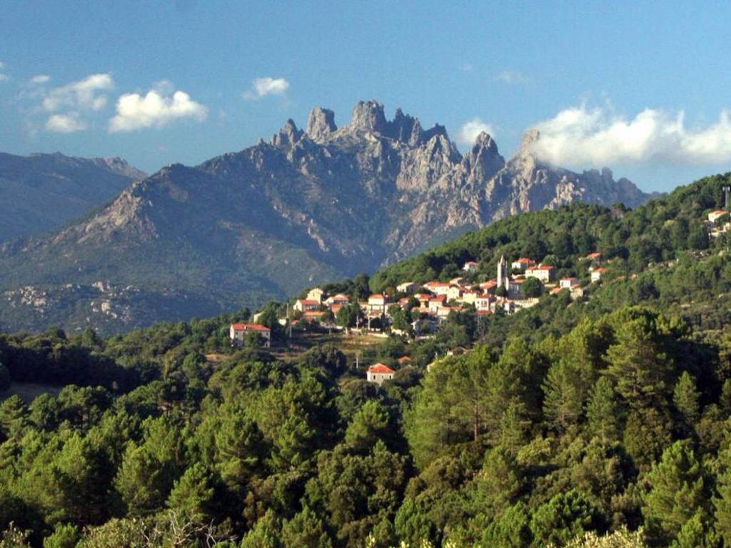 Les Hauts De Pinarello Daire Sainte-Lucie de Porto-Vecchio Dış mekan fotoğraf