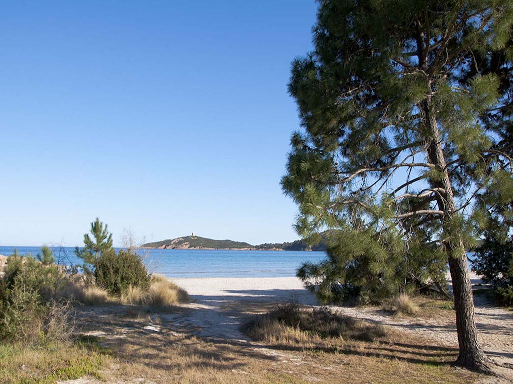 Les Hauts De Pinarello Daire Sainte-Lucie de Porto-Vecchio Dış mekan fotoğraf