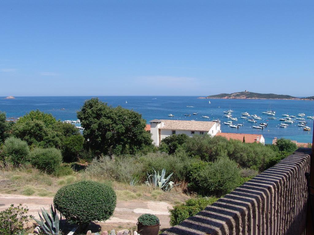 Les Hauts De Pinarello Daire Sainte-Lucie de Porto-Vecchio Dış mekan fotoğraf