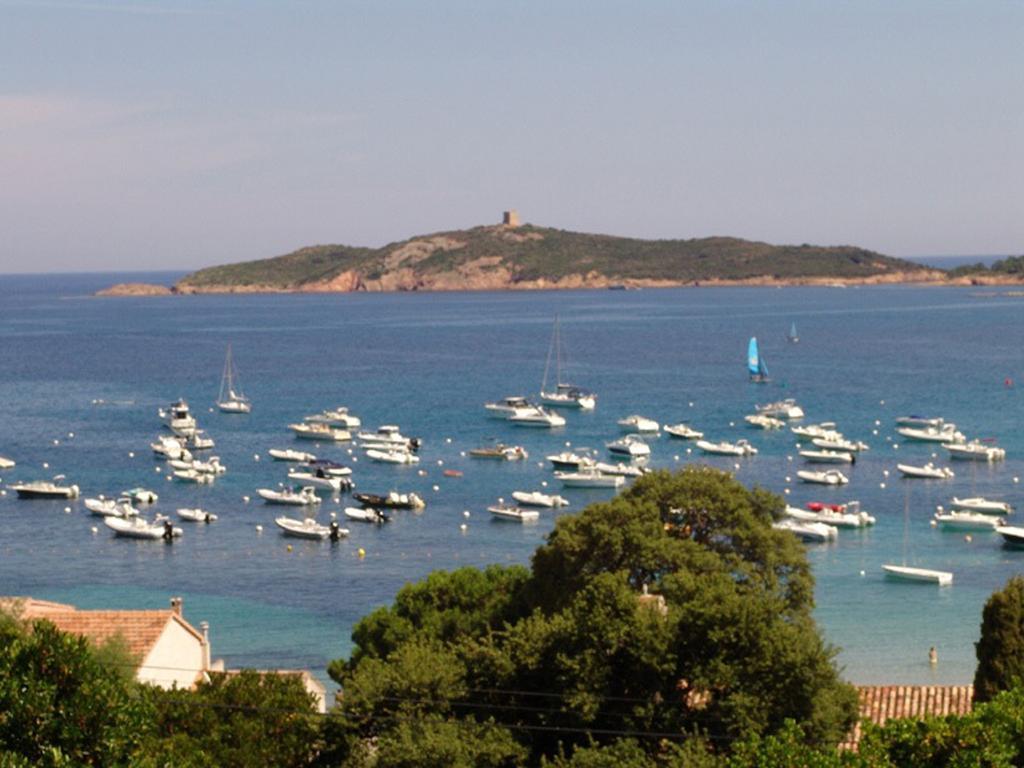 Les Hauts De Pinarello Daire Sainte-Lucie de Porto-Vecchio Dış mekan fotoğraf